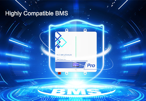 Highly compatible Battery Management System (BMS) ensures seamless operation and protection across various applications.